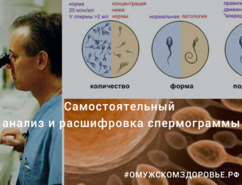Самостоятельный анализ и расшифровка спермограммы