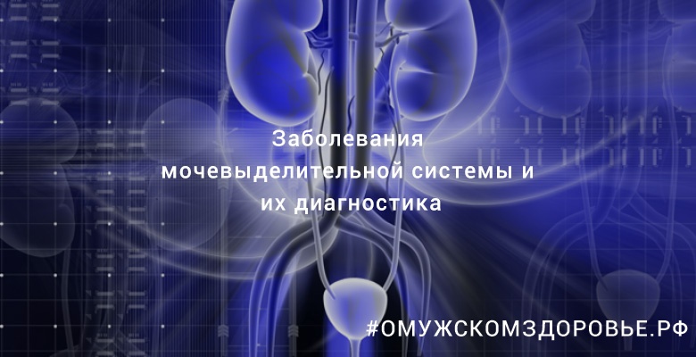 Заболевания мочевыделительной системы и их диагностика